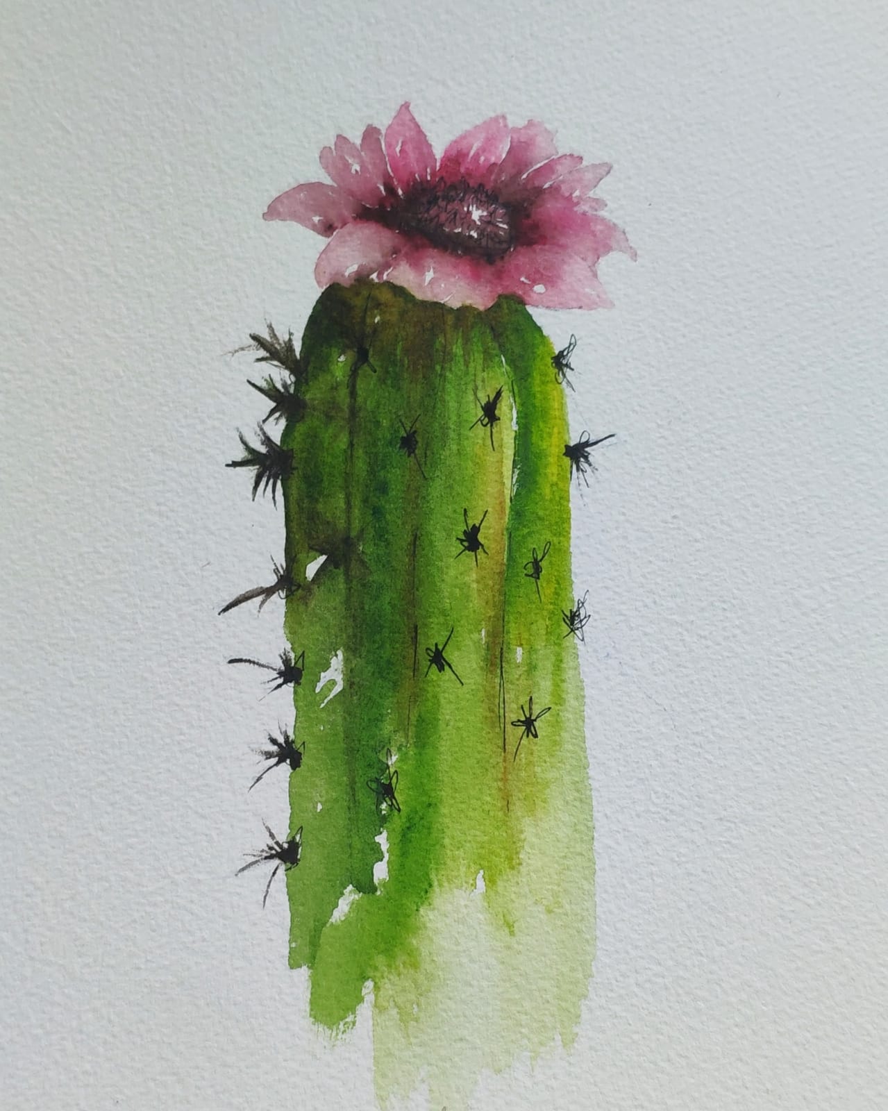 Watercolor Cactus