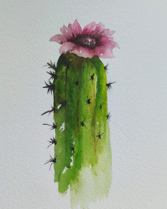 Acuarela de Cactus