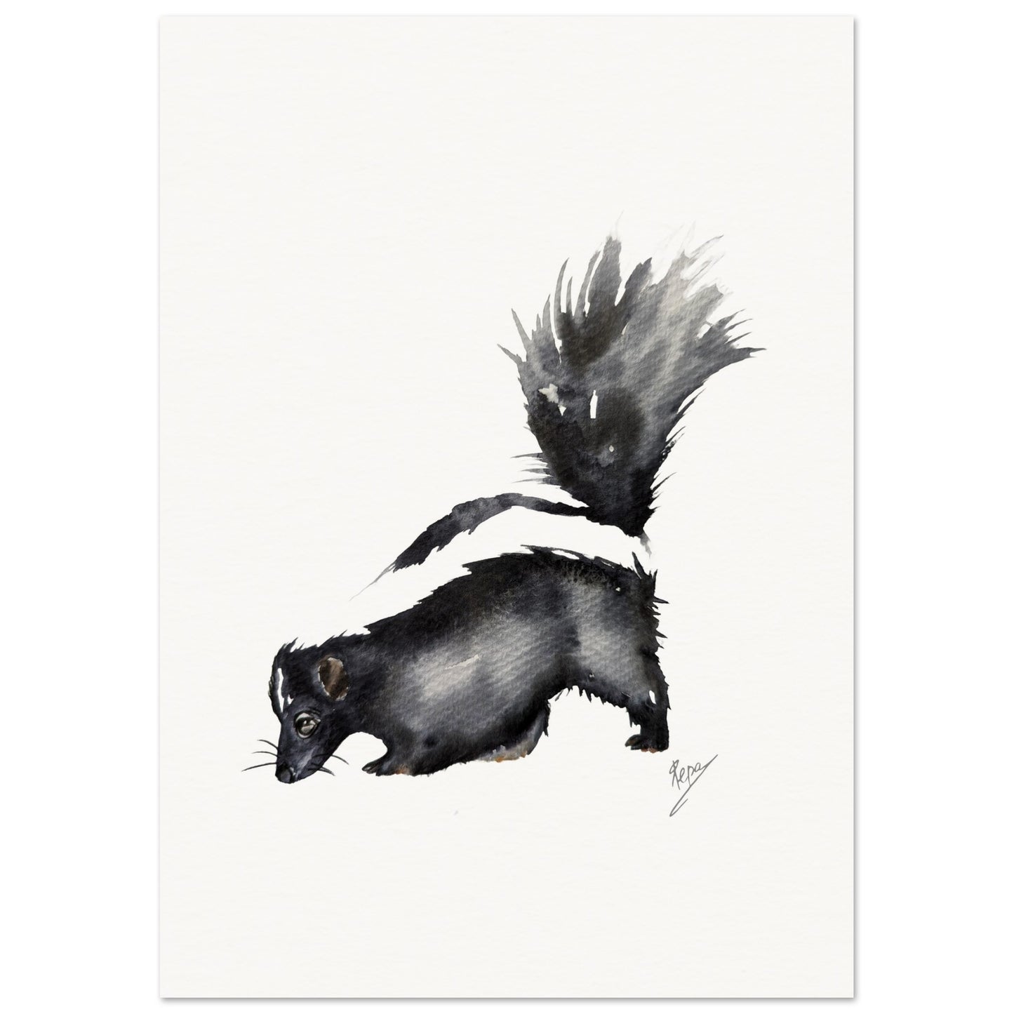 Skunk